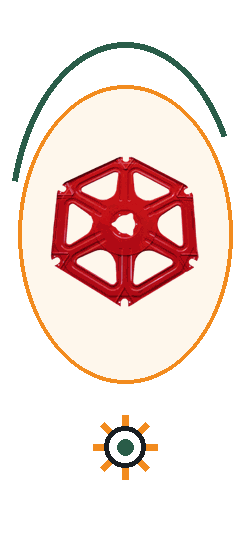 Yonga Tarım