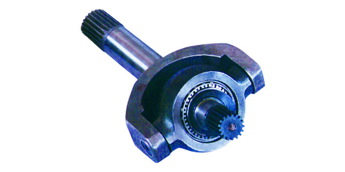 BIÇAKKOLU ŞANZIMAN KOMPLE İÇİ